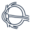 Illustration of an eye showing key anatomical features, used to explain vision focus and myopia development in children.