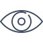 Illustration of a human eye highlighting anatomical structure and vision focus.