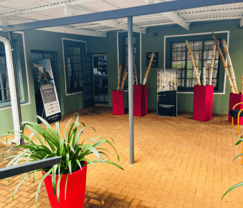 Gail Altona Dynamic Vision optometrists with Pay Just Now in Limpopo.